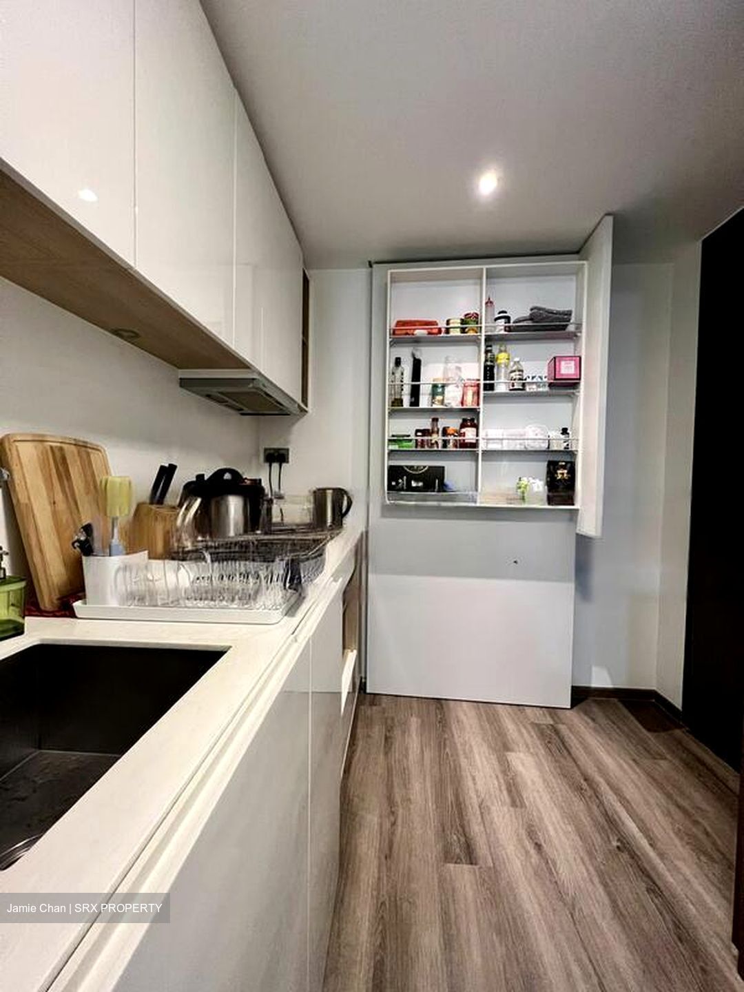 Skysuites@Anson (D2), Apartment #468104811
